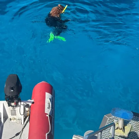 A snorkeller above the coral at a Silverswift site