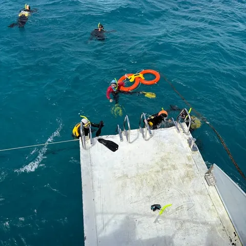Snorkellers in the water beside the boat platform