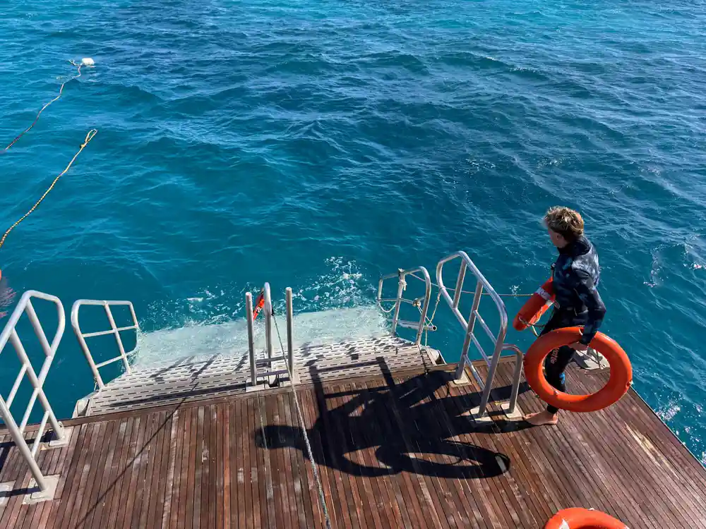 The boarding ladder and life ring on the timber rear deck