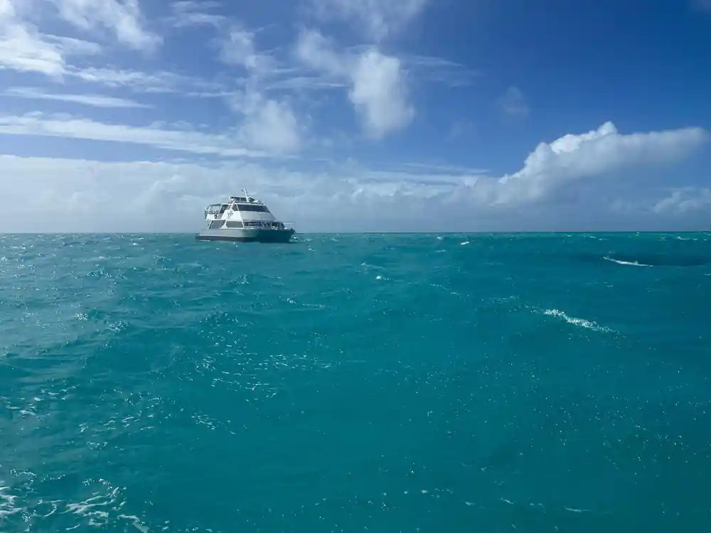 The catamaran moored on open water under a big sky