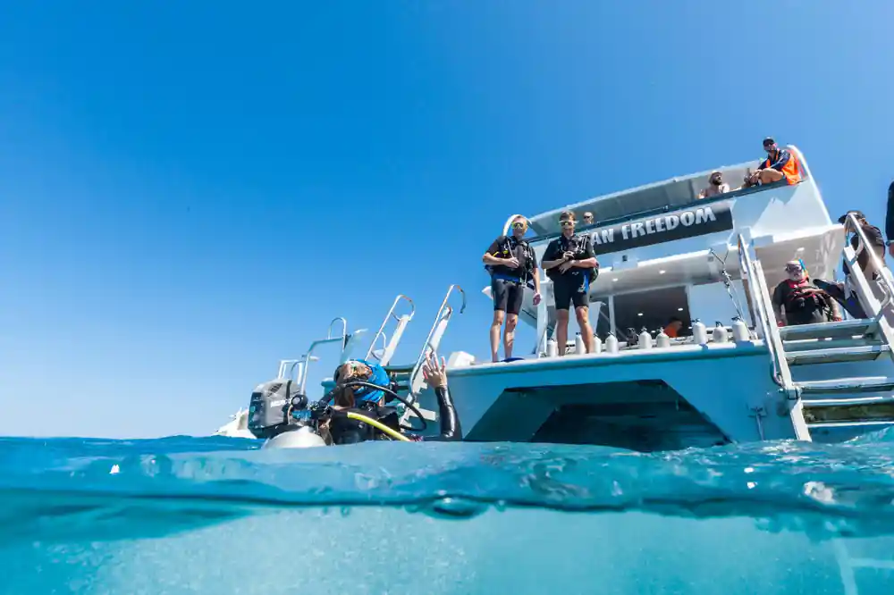A diver at the boat's stern platform under the Ocean Freedom awning