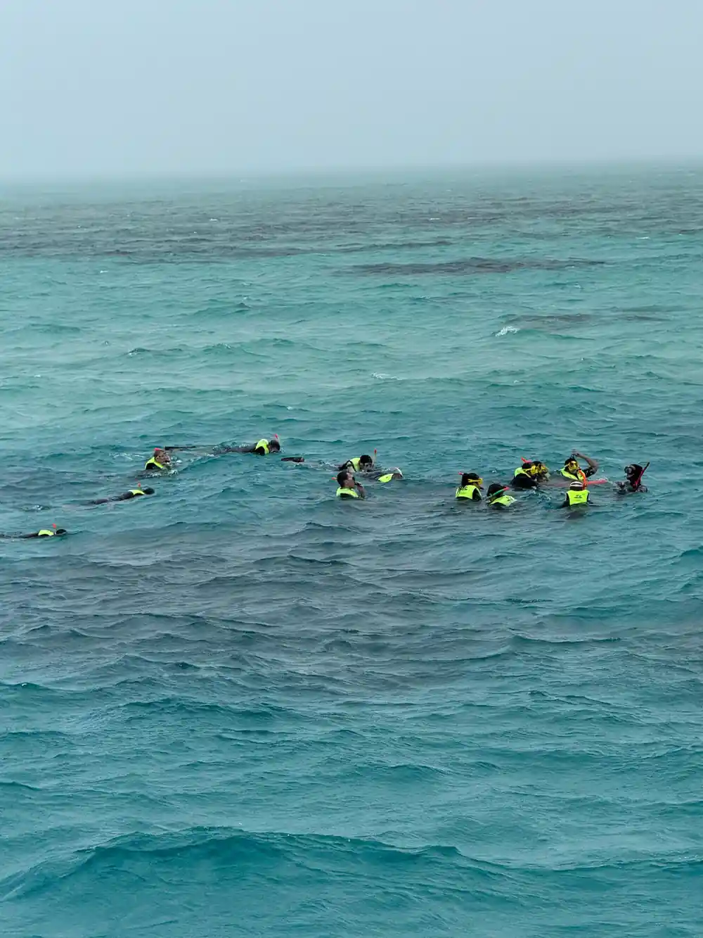 A line of snorkellers strung out over the reef in flotation vests