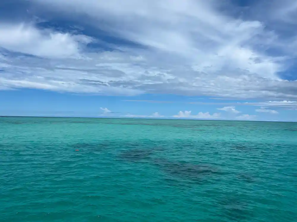 The reef flat stretching to the horizon under scattered cloud