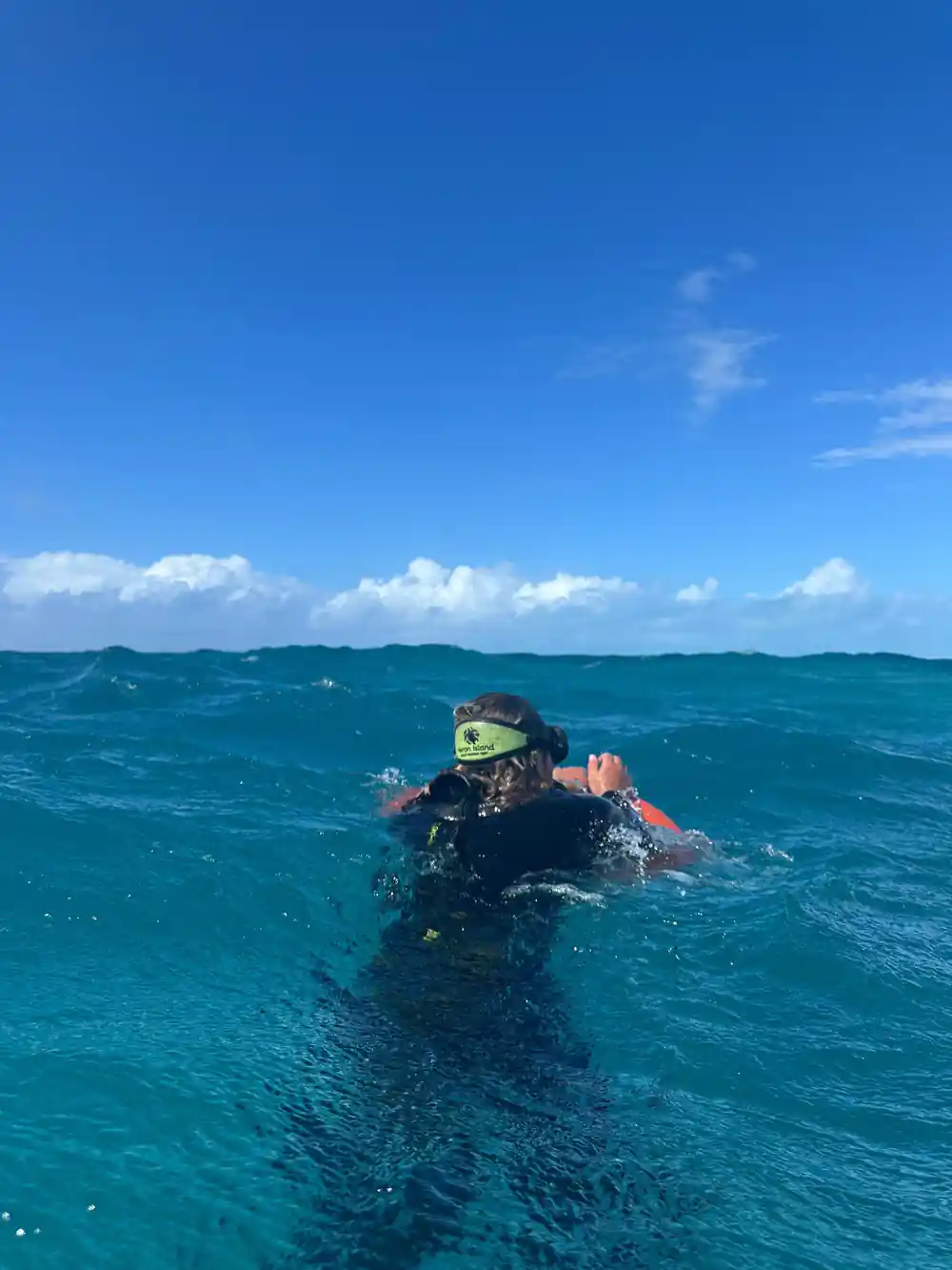 A snorkeller surfacing in choppy blue water