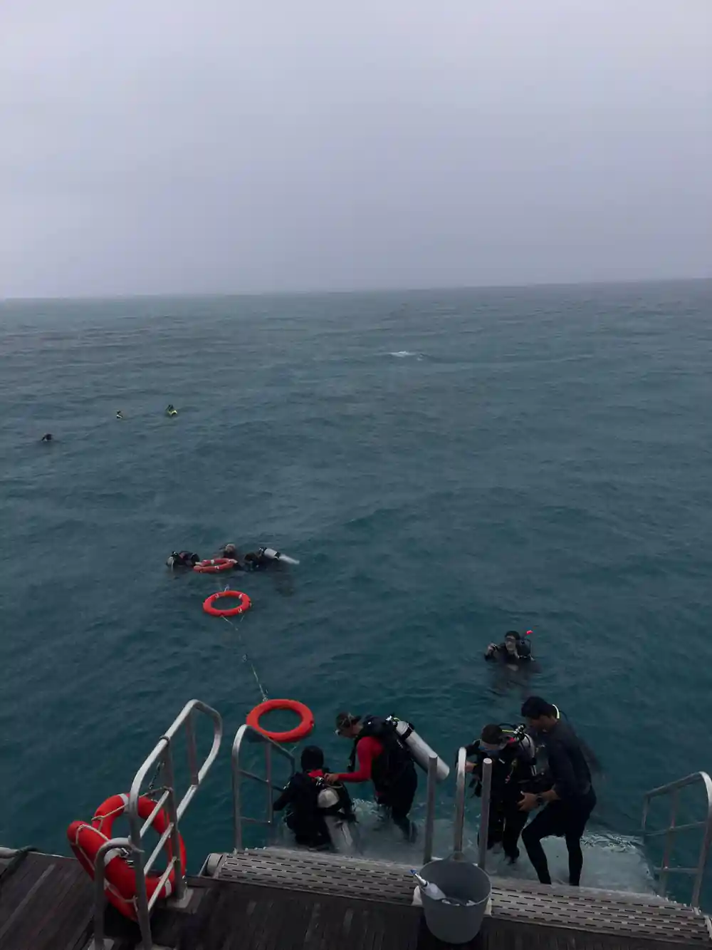 Snorkellers and flotation rings in the water off the stern