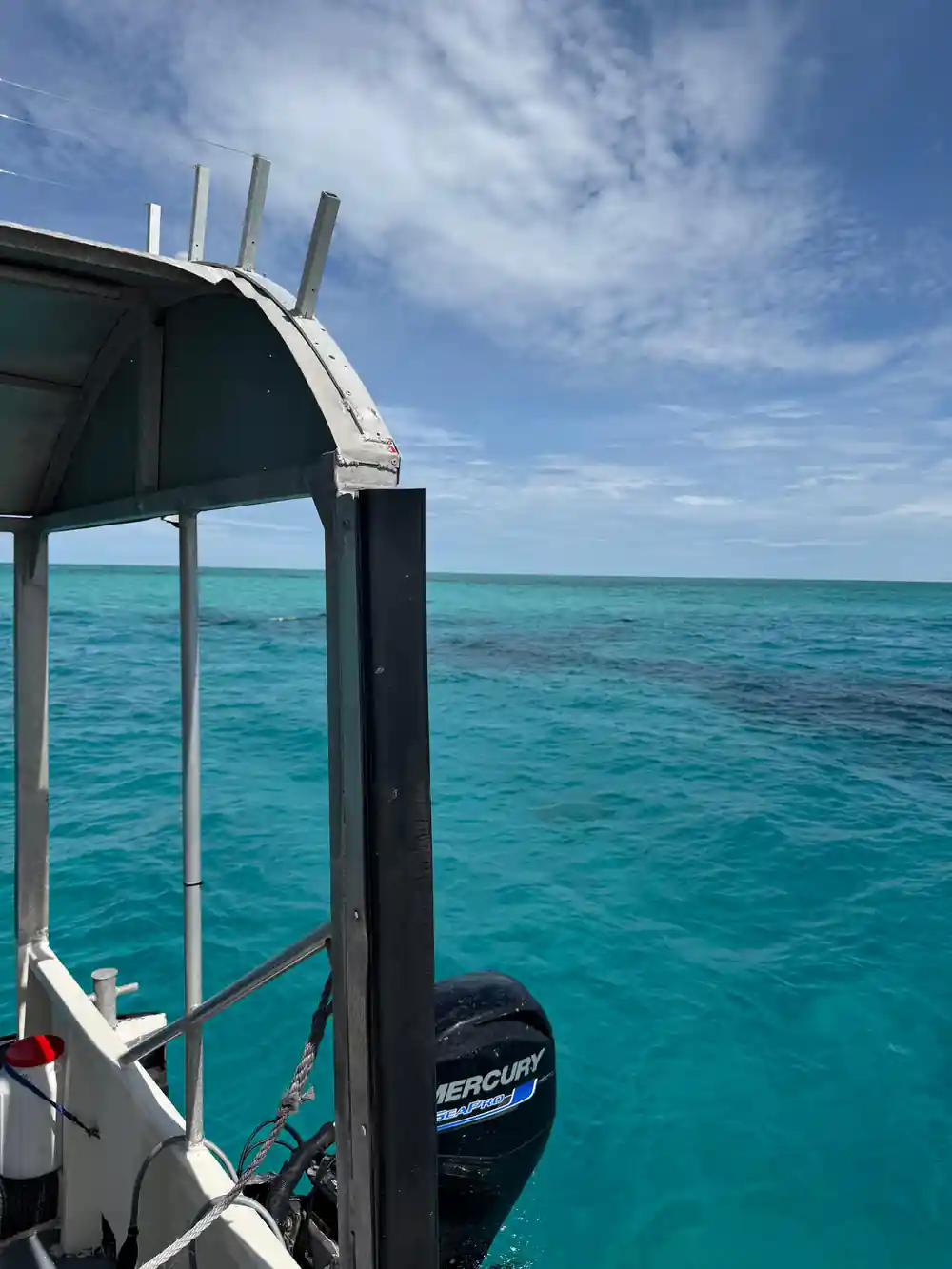 The stern gate and outboard of a tender over the reef